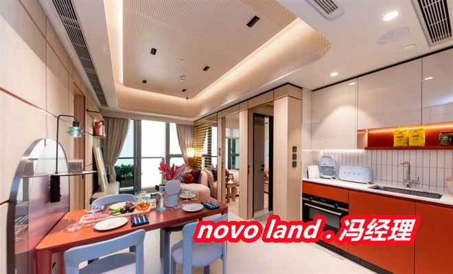香港NOVOLAND中文名字是什么意思新鸿基NOVOLAND是什么档次(图2)