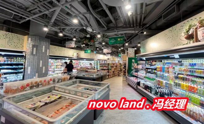 香港NOVOLAND中文名字是什么意思新鸿基NOVOLAND是什么档次(图3)