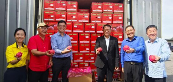 九游体育网站：品牌周讯113-119农业品牌活动一览表(图22)