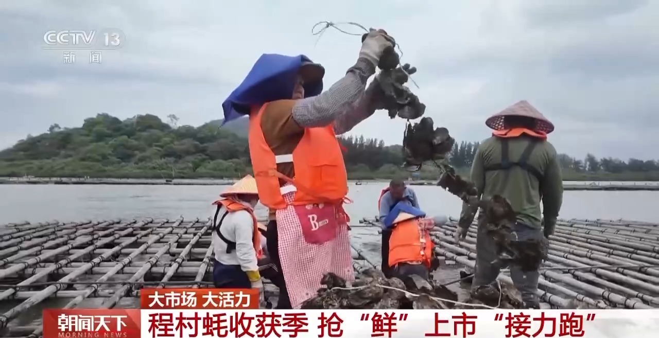 大市场大活力丨“五一”假日餐桌海鲜热度揭秘生蚝如何抢“鲜”出发？(图1)