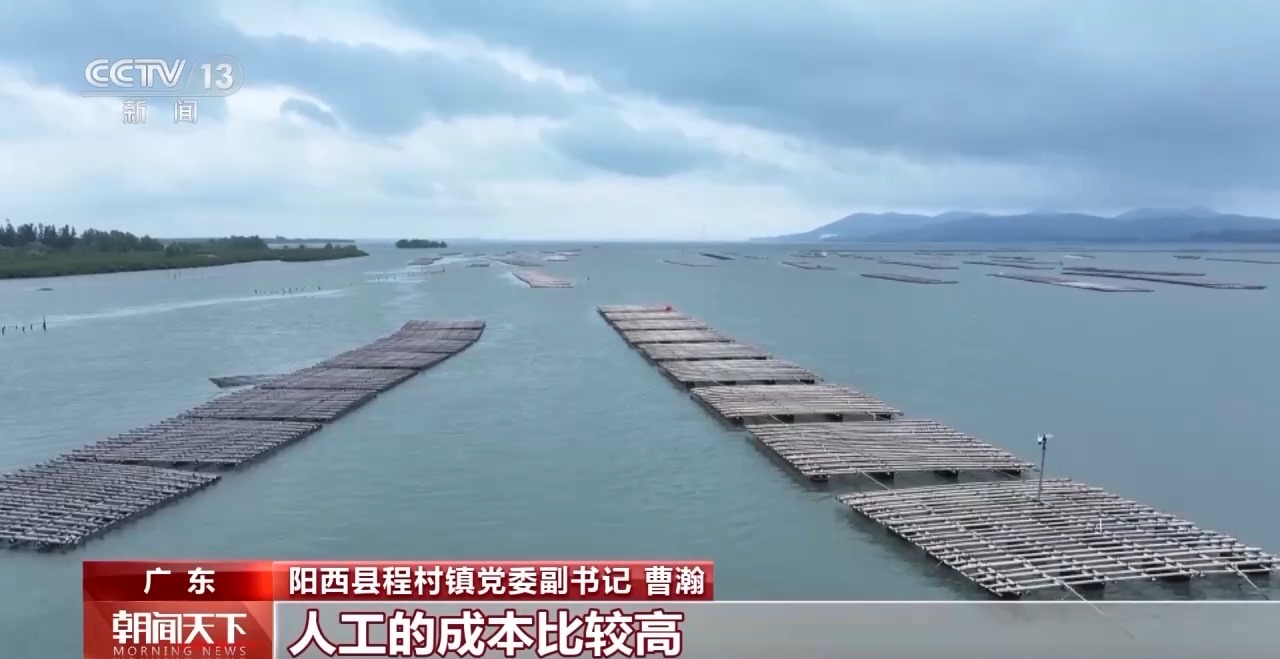 大市场大活力丨“五一”假日餐桌海鲜热度揭秘生蚝如何抢“鲜”出发？(图2)