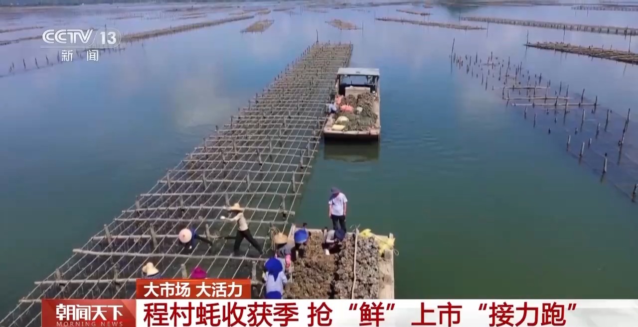 大市场大活力丨“五一”假日餐桌海鲜热度揭秘生蚝如何抢“鲜”出发？(图9)