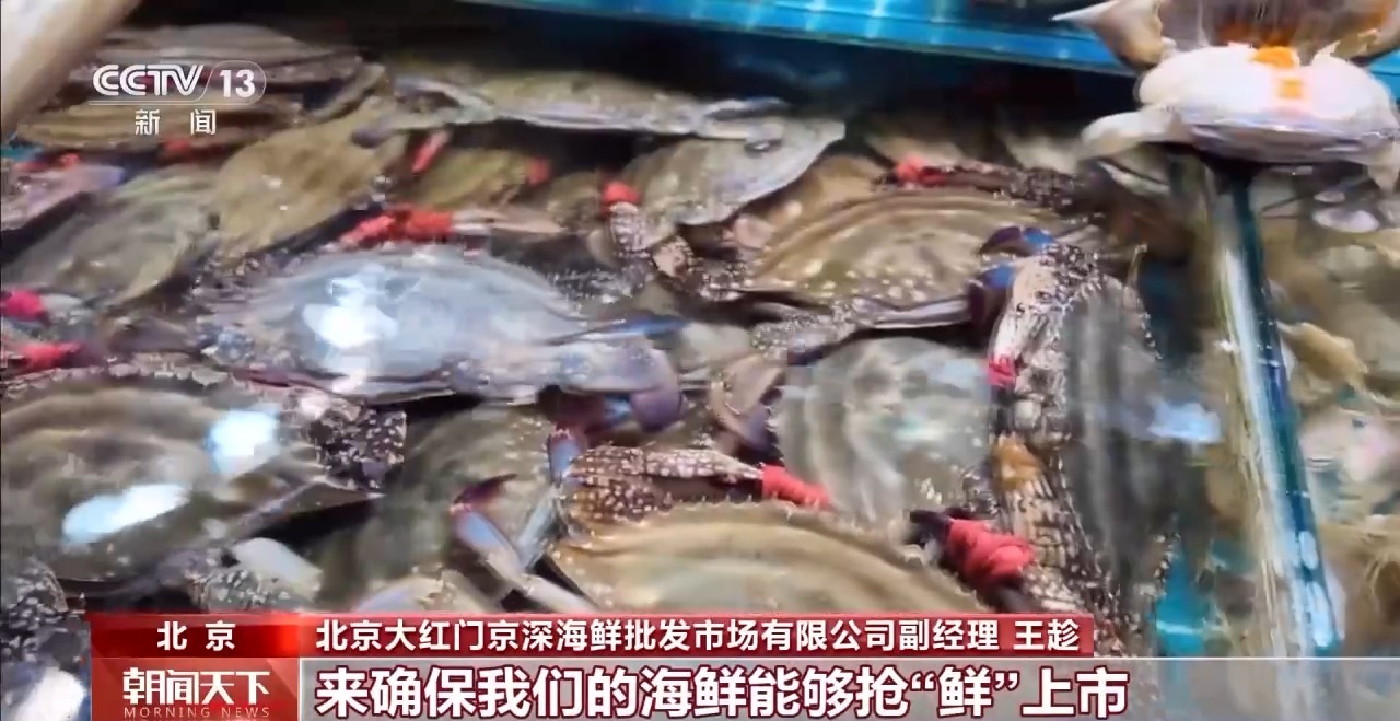 大市场大活力丨“五一”假日餐桌海鲜热度揭秘生蚝如何抢“鲜”出发？(图13)