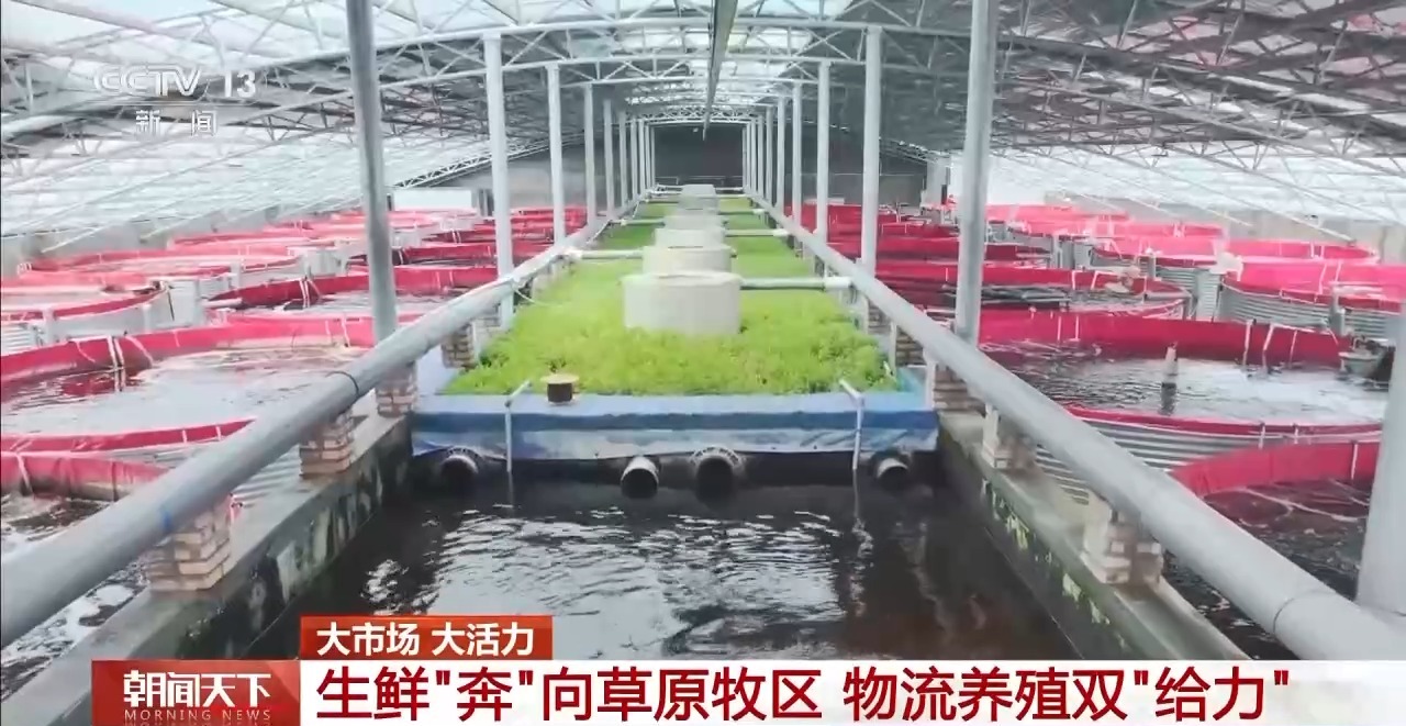 大市场大活力丨“五一”假日餐桌海鲜热度揭秘生蚝如何抢“鲜”出发？(图16)