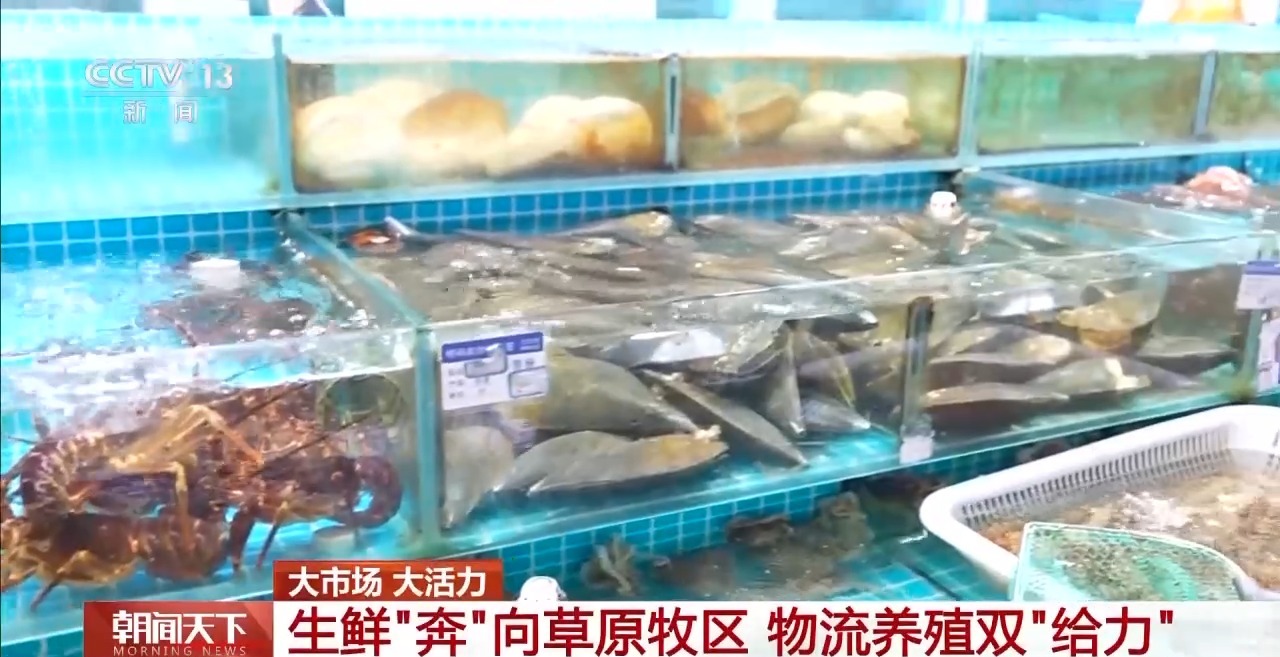 大市场大活力丨“五一”假日餐桌海鲜热度揭秘生蚝如何抢“鲜”出发？(图15)