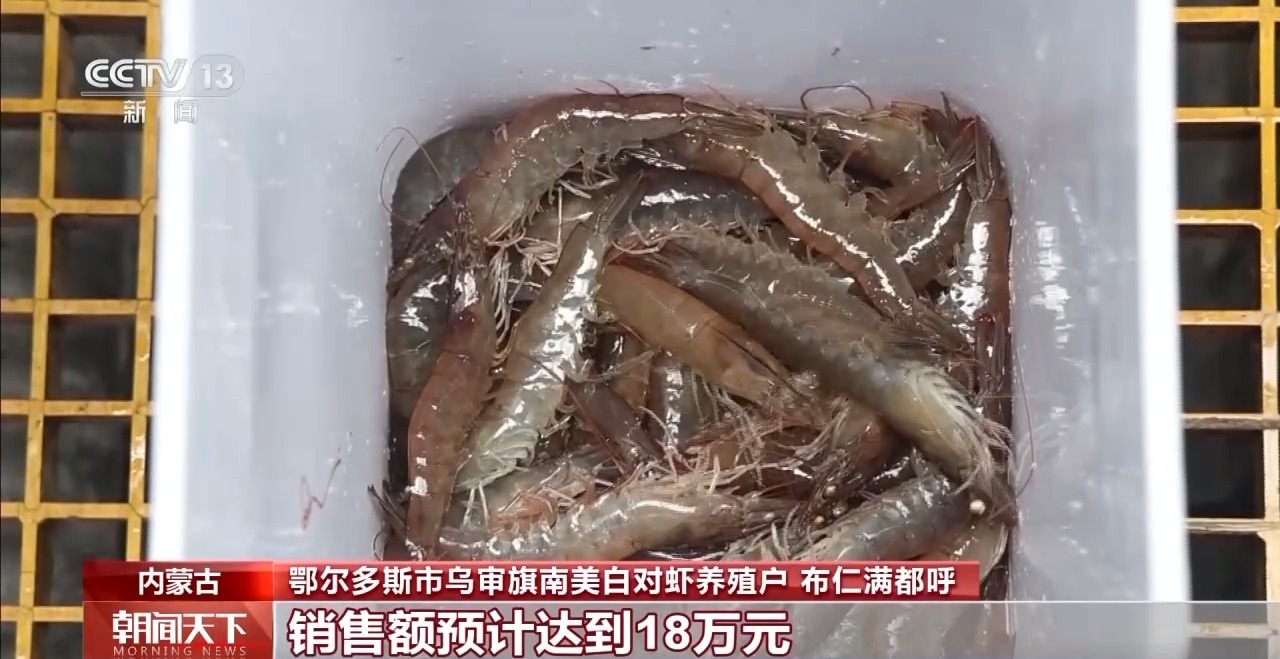 大市场大活力丨“五一”假日餐桌海鲜热度揭秘生蚝如何抢“鲜”出发？(图17)