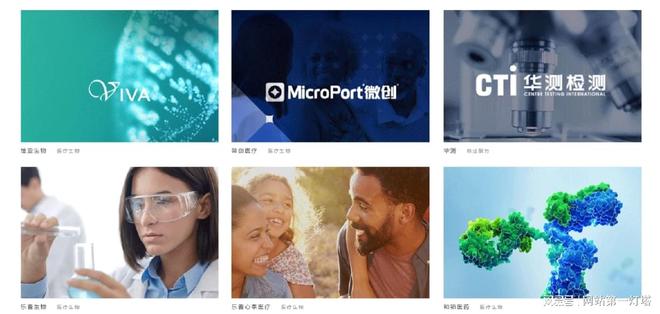 网站建设难题多如何精准选对公司开启成功之旅(图3)