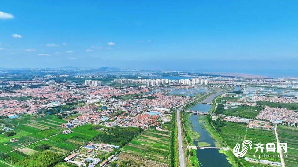 九游体育：日照海鲜飘香国外餐桌(图2)