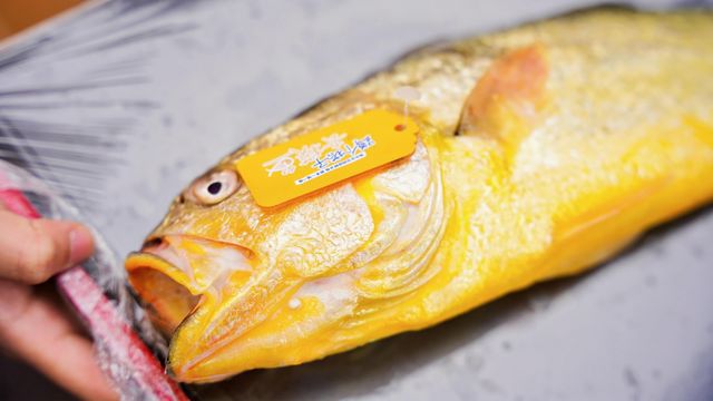 九游体育：海尔冰箱开启冻鱼60天极鲜挑战宁德大黄鱼到郑州歇脚(图4)