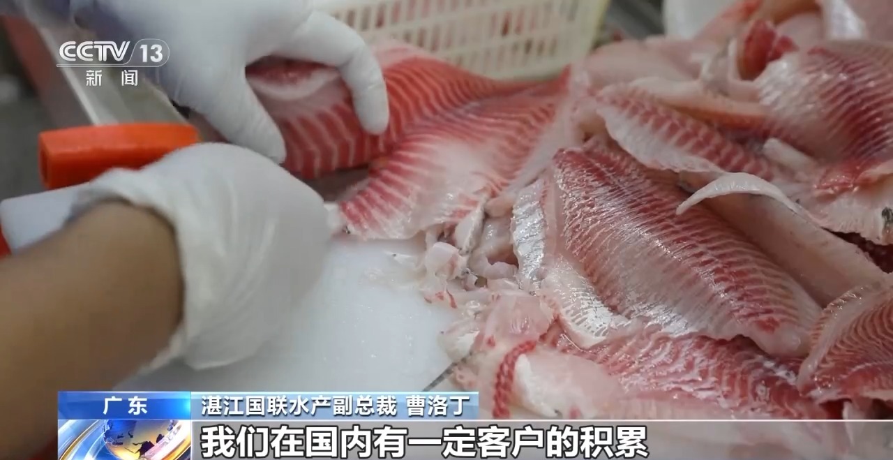 转内销观察丨从“标准化出口”到“定制化内需”罗非鱼游出困境(图7)