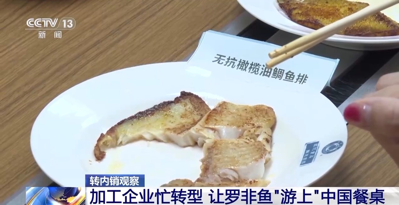 转内销观察丨从“标准化出口”到“定制化内需”罗非鱼游出困境(图4)