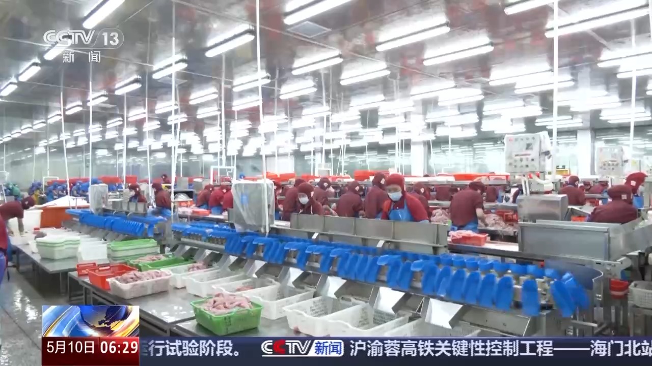 转内销观察丨从“标准化出口”到“定制化内需”罗非鱼游出困境(图11)