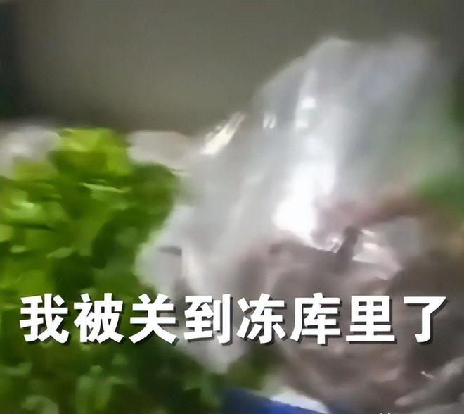 广东女子被男同事故意关冷库后续！同事身份被曝光女子无奈辞职(图14)