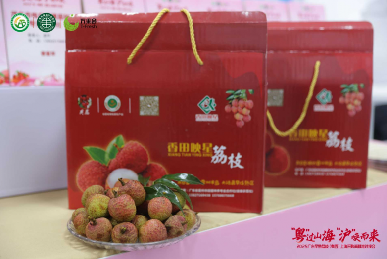 Hi上海广东早熟荔枝来了！(图2)