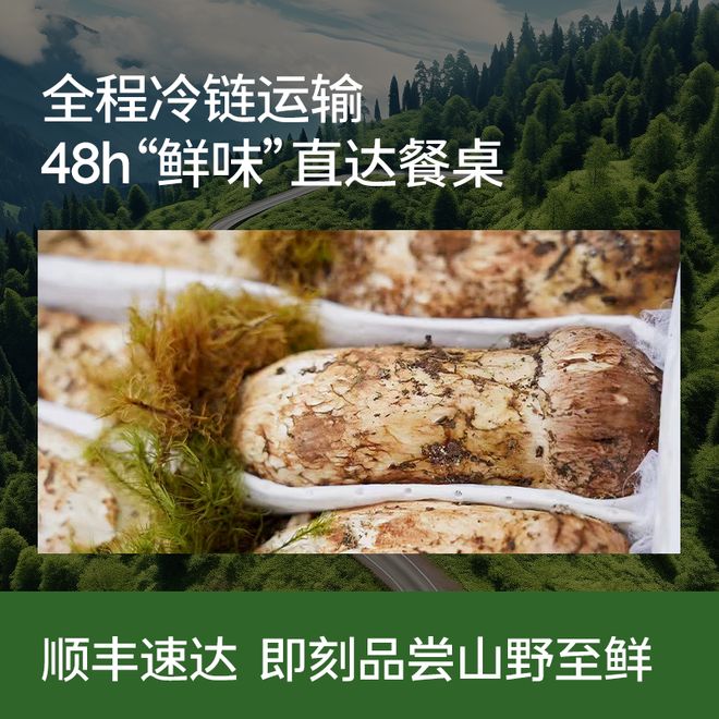 九游体育：8月别忘了多备点!被称为菌菇“小人参”!满满氨基酸润燥补脾还强免疫煎炒炖格外鲜(图16)