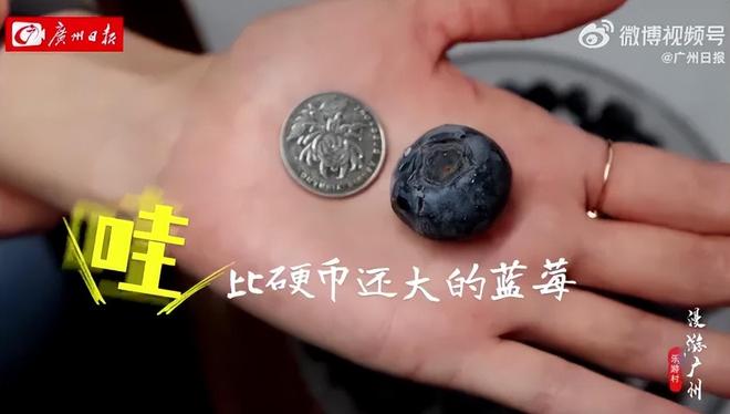 外国“水果贵族”集体沦为中国土特产(图10)
