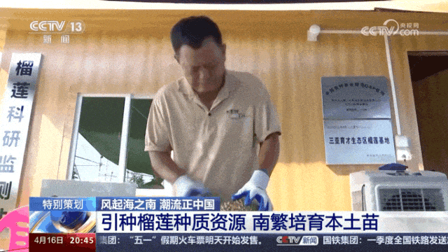 外国“水果贵族”集体沦为中国土特产(图12)