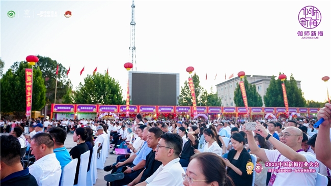 四套组合拳打通产业链！顺丰冷链干线“全国网”护航伽师新梅丰收季(图5)