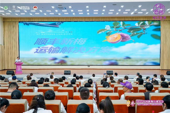 四套组合拳打通产业链！顺丰冷链干线“全国网”护航伽师新梅丰收季(图2)