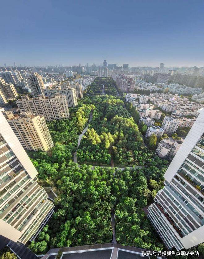 九游体育：聚焦◈中鹰黑森林售楼处发布：问鼎楼市天花板(图4)